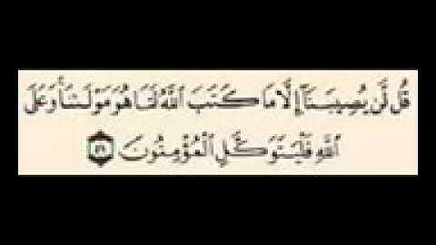 خير ما نبدأ به القرآن الكريم #