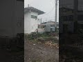 KRL CRRC TUJUAN CIKARANG PAPASAN KRL JEPANG TUJUAN KAMPUNG BANDAN DI JPL 81 BEKASI (24/5/26)