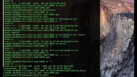 Comandos Básicos de Unix