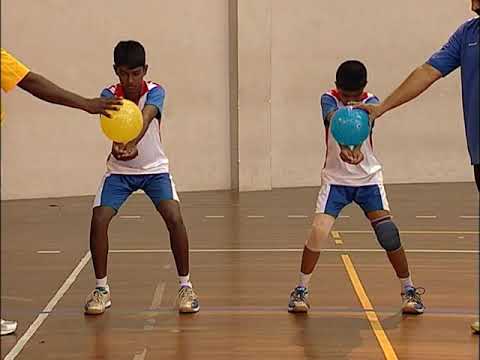 volleyball essay in sinhala