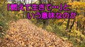 神戸一郎 Youtube 神戸一郎 Youtube