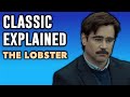 The lobster explained  analysis