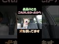 これがしたかったから！犬を飼ってます　I wanted to do this... that's why I have dogs!!