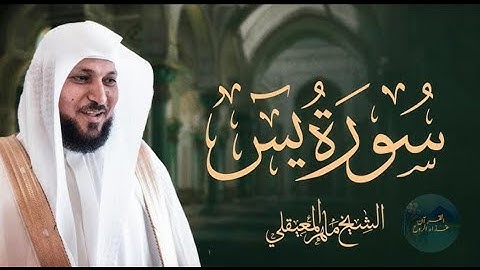 Surat Yasin Maher Al Muaiqly ｜ سورة يس    الشيخ ماهر المعيقلي