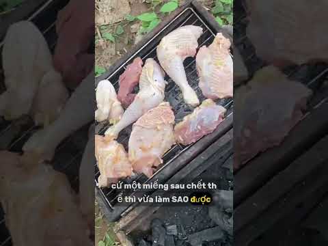 Thịt chó cầu Vòi #caođàitổng #fishing #đồngquê