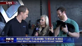 Fox News morning show - puppy rescue flight Fox News morning show - puppy rescue flight