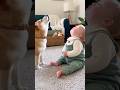 【奇跡の瞬間】赤ちゃん×柴犬🐶👶同時に遠吠えする癒しの瞬間💯 A Magical Moment Baby & Shiba Howling at the Same Time
