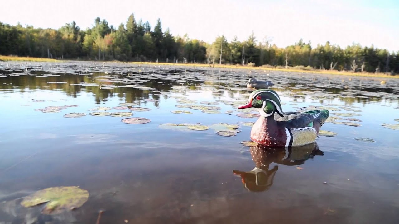 On Opening Day of Duck Season YouTube