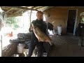 Супер рыбалка на Балхаше Амур сом змееголов