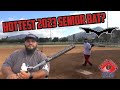 2023 monsta athletics daisy cutter blu82 senior softball bat review  gordo life softball