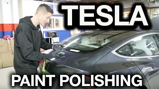 How to Polish Tesla Paint M205 v M210 screenshot 3