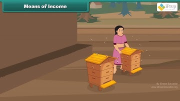 Class 4 EVS Chapter - 5 "Anita and Honeybees" cbse ncert Environmental Looking Around