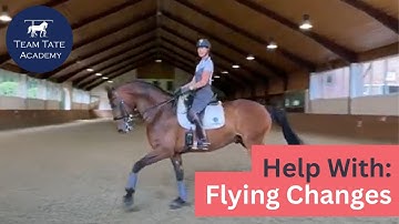 Counter Canter Plié with Romeo