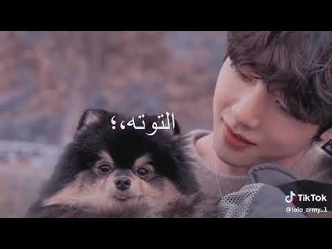 عصافير الجنة يا توته