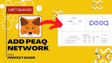 How To Add Peaq Network In Metamask (Easy Guide)