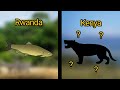 1 Extinct Animal From Every Country - Africa Part 2