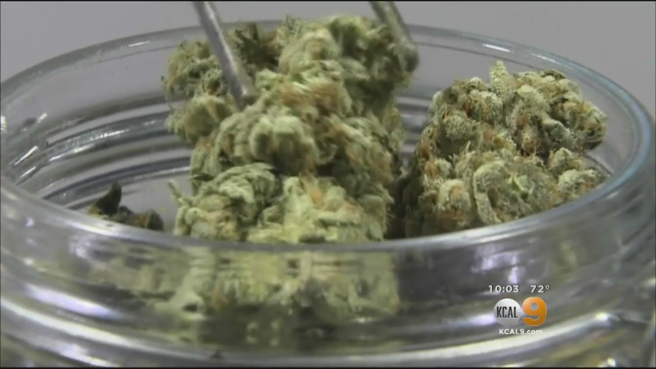 California Voters To Decide Whether To Legalize Recreational Marijuana