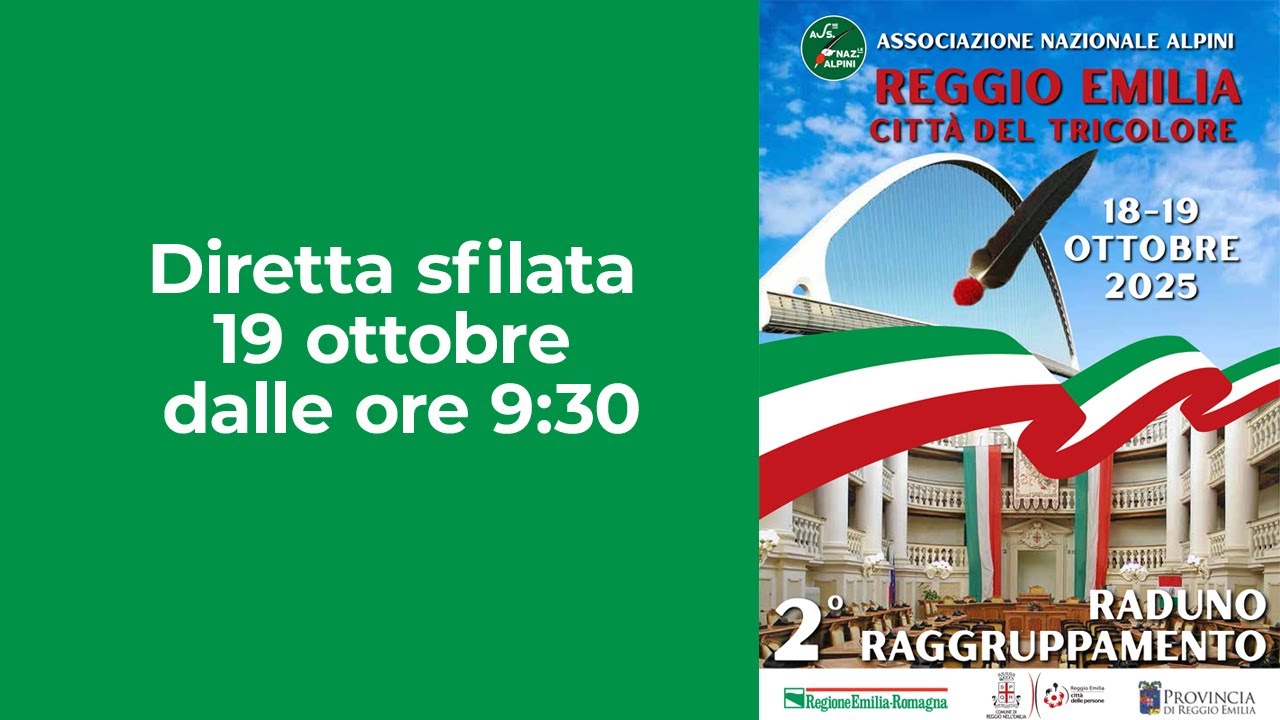 Raduno del 2° raggruppamento - REGGIO EMILIA - La sfilata