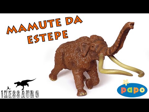 Vídeo: Um Crânio De Um Mamute Das Estepes Raro Foi Encontrado Na França - Visão Alternativa