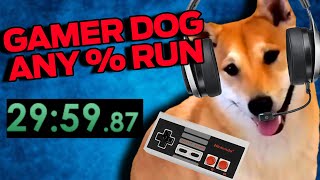 A Dog Plays Video Games Better Than You