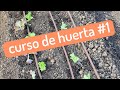  gua de 6 primeros pasos para evitar problemas  curso de huerta 1