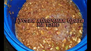 Густая яблочная брага на тэне