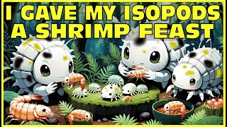 I Fed My Isopods A Shrimp Feast! | 4K | Timelapse | Isopod House Terrarium