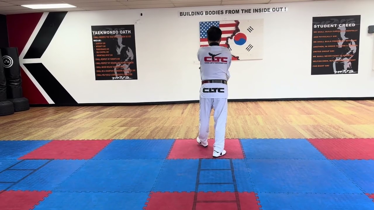 TAE GEUK 2 JANG(ORANGE BELT STUDY VIDEO)