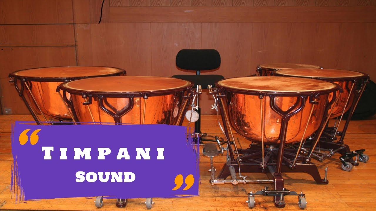 Timpani Sound with Other Drums Music Instrument YouTube