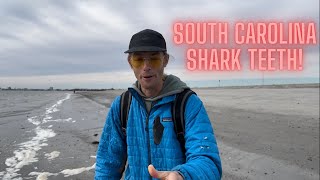 SHARK TOOTH HUNTING IN SC!!