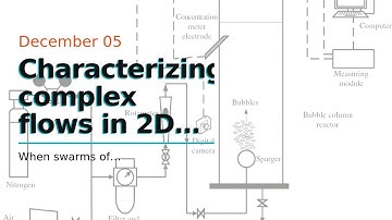 Characterizing complex flows in 2D bubble swarms