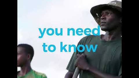 7 things you need to know about locusts