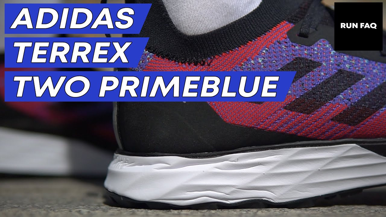 adidas terrex two