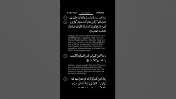 #DailyQuran [02] Surah Al-Baqara [165-167] | Maher Al-Mu'aiqly - سورة البقرة | ماهر المعيقلي
