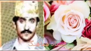 استاد هماهنگ (نگاهت شاعر دیوانه ام کرد)