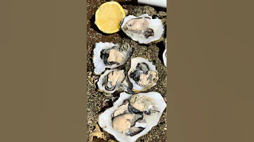 Устрицы - это морской моллюск, который относится к классу двустворчатых моллюсков