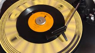 The Rays -Daddy Cool- (1957)