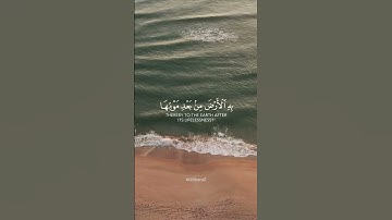 ولئن سألتهم من نـزل من السماء ماء فأحيا به الأرض من بعد موتها | القارئ عبدالرحمن مسعد 🍃