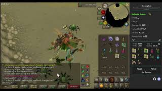 [OSRS] Kalphite Queen full trip example 40+ kph ft. world hopping