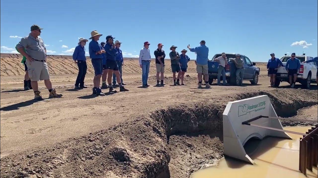 Paperwork Paralysis Pays Dividends Craig Saunders, Saunders