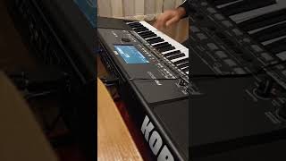 Varnenski Kuchek Live! Korg pa600 Варненски кючек Resimi