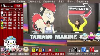 【玉野競輪】  シン・TIPSTAR杯 [FⅡデイレース]  3/15（土）【2日目】#玉野競輪ライブ #玉野競輪中継