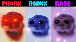 Sad Hamster Original vs Remix vs Bass All Version