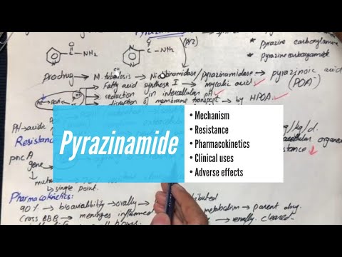 Video: Rezistence A Mutace Pyrazinamidu V PncA Mezi Izoláty Mycobacterium Tuberculosis Z Khyber Pakhtunkhwa, Pákistán