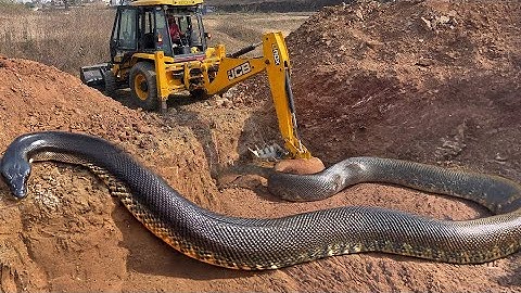 JCB 3dx Backhoe Maschine fully Loading Mud in Mahindra 475 JCB video #jcb #farming