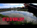 Ausnahmefisch gesichtet.. | Ultralight fishing | Angelpark Losser