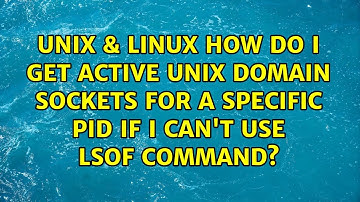 How do I get active unix domain sockets for a specific pid if I can