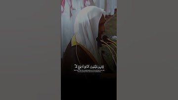 احمد بن طالب سورة طه