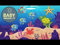 Calming Bedtime Lullabies with Relaxing Fish Animation for Sleep | Baby Snooze TV