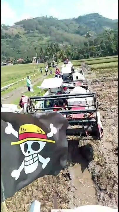 MAXXI ||#combineharvester #maxxibimoterbaru #automobile #maxxibimo102standar #maxxibimo #fyp #sawah